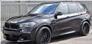 bmw x5 verlagingsveren