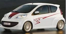 peugeot 107 verlagingsveren