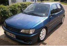 peugeot 306 verlagingsveren promaxx