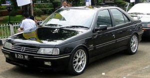 peugeot 405 verlagingsveren promaxx