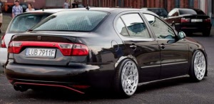 raceware verlagingsveren seat toledo