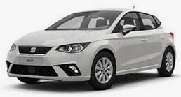 seat ibiza 6j verlagingsveren
