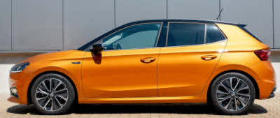 Skoda Fabia PJ (2021-) Raceware verlagingsveren